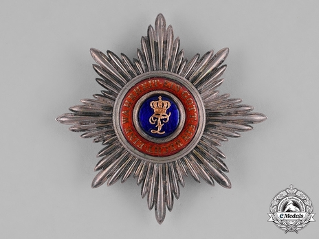 House Order of Duke Peter Friedrich Ludwig, Civil Division, Grand Cross Breast Star (with gold crown, in silver gilt) Obverse