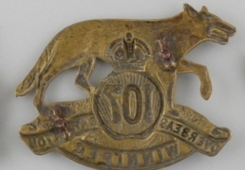 107th Infantry Battalion Other Ranks Cap Badge Reverse