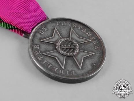 Saxe-Ernestine House Order Medals of Merit, Type II, Civil Division, in Silver Reverse