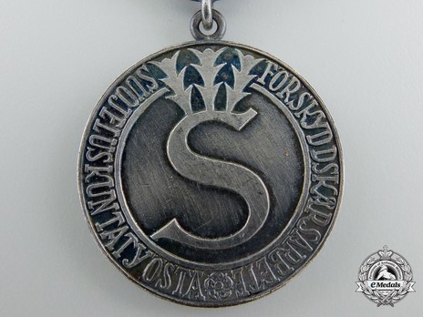 Civil Guard Medal of Merit, Silver Medal Reserve