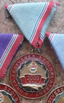 Air Force Distinguished Service Medal, II Class (for 3000 hours) Obverse