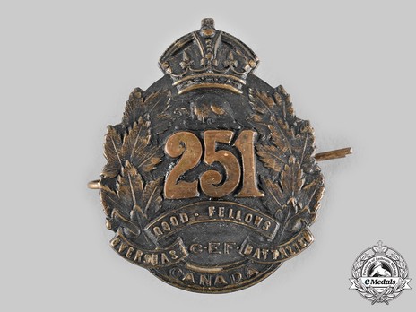 251st Infantry Battalion Other Ranks Cap Badge