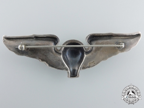 Pilot Wings (with silver) Reverse