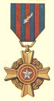 Hazardous Service Medal