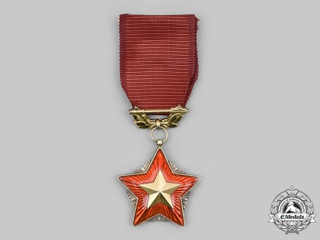 Order of the Red Banner, Gold Star (1960-1989)