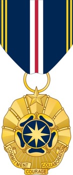 National Intelligence Superior Service Medal Obverse