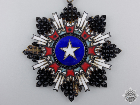 Order of the Brilliant Star, I Class Star Obverse