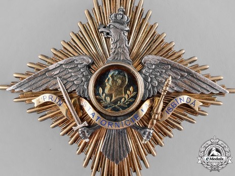 Order of Carol I, Grand Officer's Breast Star Obverse Detail