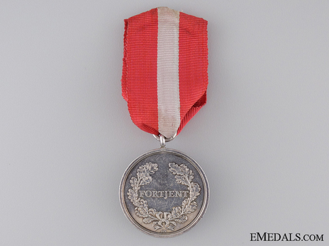 Army Long Service Medal, in Silver Reverse