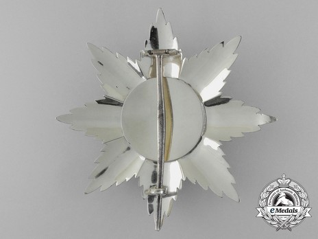 Order of St. Alexander, Type III, Civil Division, I Class Breast Star Reverse