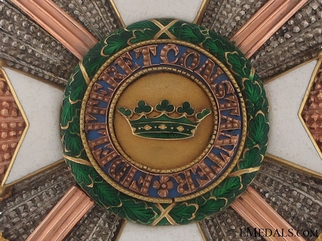 House Order of Saxe-Ernestine, Type II, Military Division, Grand Cross Breast Star (in silver gilt) Obverse Detail