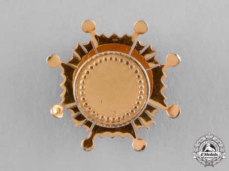 Miniature Grand Cross Breast Star Reverse