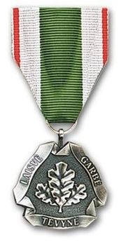 National Defence System of the Republic of Lithuania Medal for Meritorious Civilian Service Obverse