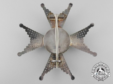 I Class Commander Breast Star (with silver and silver gilt) Reverse