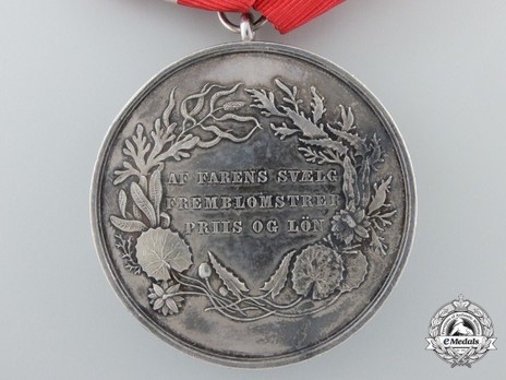 Medal for Saving Life from Drowning, in Silver, Type V Reverse