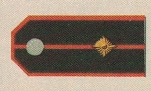 German Army Foreign Units Oberleutnant Shoulder Boards Obverse