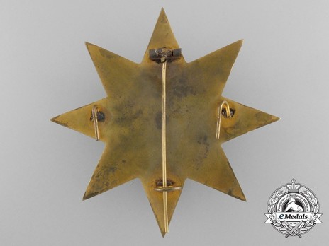 Order of the Star of Ethiopia, Grand Officer Breast Star (in Silver gilt) Reverse