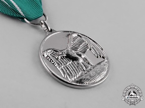 Anti-Guerrilla Warfare Service Medal Obverse