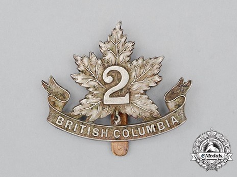 30th Infantry Battalion Other Ranks Cap Badge (Pointed Leaf) Obverse