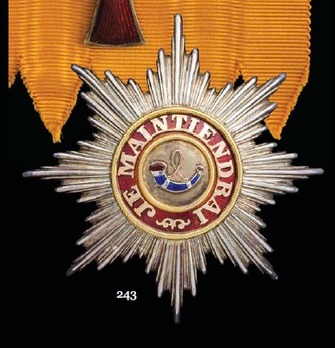 House Order of Orange, Type I, Grand Cross Breast Star