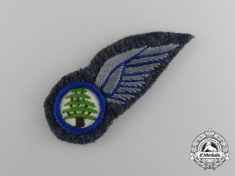 Lebanese Air Force Pilot Badge Obverse