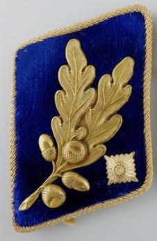 SA Brigadeführer Collar Tabs (1933-1944 Oberrhein version) Obverse