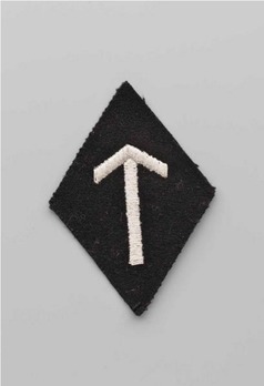 Waffen-SS Main Office (Recruitment, Procurement, Education) Trade Insignia Obverse