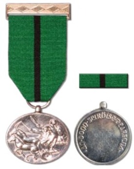 Distinguished Service Medal with Honour Obverse and Reverse 