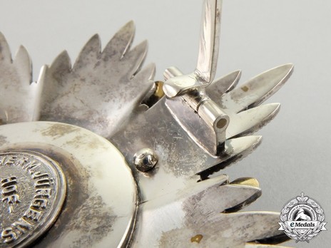 Dukely Order of Henry the Lion, Grand Cross Breast Star (in silver gilt) Hinge