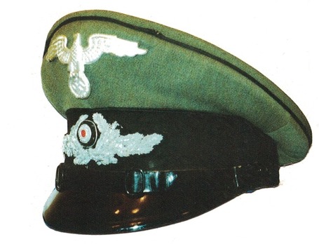 Diplomatic Corps Lower Ranked Officials Field-Grey Visor Cap Profile