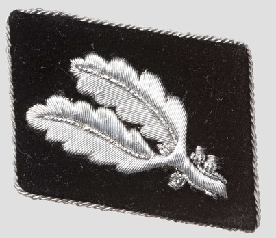 Waffen-SS Pre-1942 Oberführer Collar Tabs Obverse