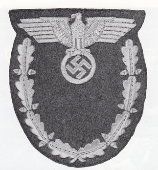 Diplomatic Corps Elevated Officials Career Group Sleeve Insignia Obverse