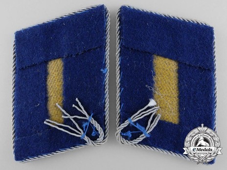 Luftwaffe Medical Hauptmann Collar Tabs Reverse