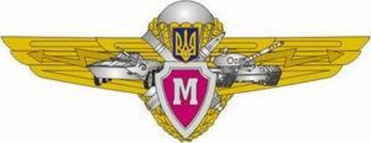 Compulsory Military Service Master Badge Obverse