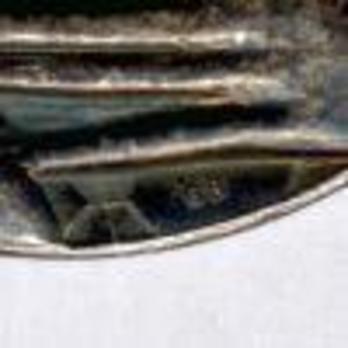 Silver Medal (with silver, with 1 clasp) Obverse Detail