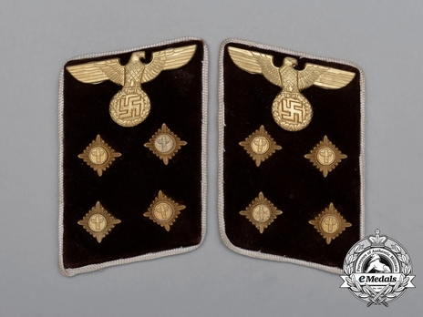 NSDAP Gemeinschaftsleiter Type IV Kreis Level Collar Tabs Obverse