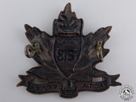 213th Infantry Battalion Other Ranks Cap Badge Reverse