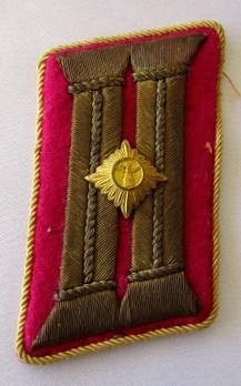 NSDAP Hauptamtsleiter Type III Reich Level Collar Tabs Obverse