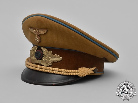 NSDAP Ortsgruppenleitung Visor Cap M39 Profile