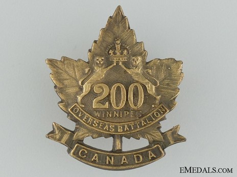 200th Infantry Battalion Other Ranks Cap Badge Obverse