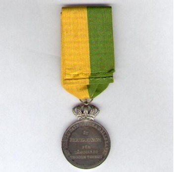 1st Size Silver Medal Reverse