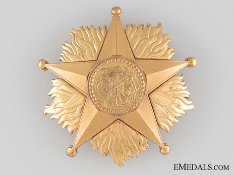 Order of the Star of Italian Solidarity, Type I, I Class (in bronze gilt) Obverse