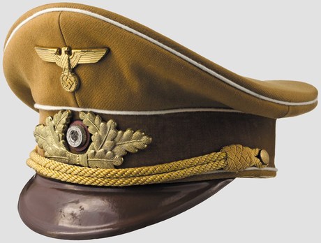 NSDAP Kreisleitung Visor Cap M39 Profile