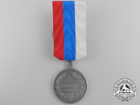 1876 Medal for Bravery, in Silver Obverse