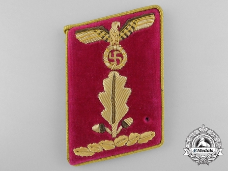 NSDAP Ober-Abschnittsleiter Type IV Reich Level Collar Tabs Obverse
