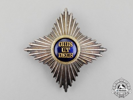Royal Order of Merit of St. Michael, II Class Cross Breast Star (with smooth rays) Obverse