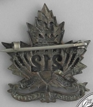 212th Infantry Battalion Other Ranks Collar Badge Reverse