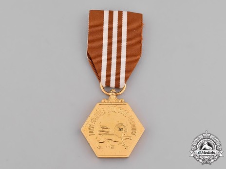 Singapore Armed Forces Long Service and Good Conduct Medal Obverse