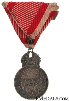 Silver Medal (with Karl I, second award clasp, & swords) Reverse