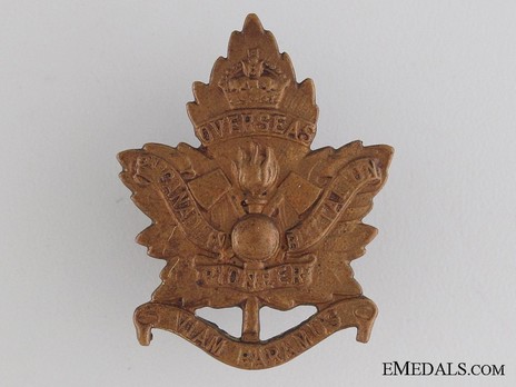 2nd Pioneer Battalion Other Ranks Collar Badge Obverse